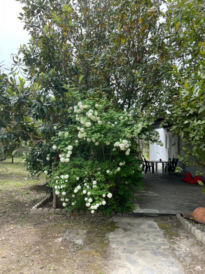 Irinis Cottage Kala Nera Exterior photo